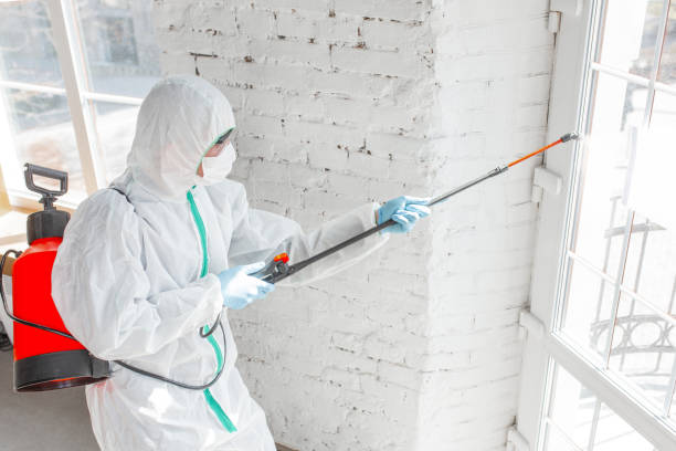 Best Mold Prevention Services  in Stanton, CA